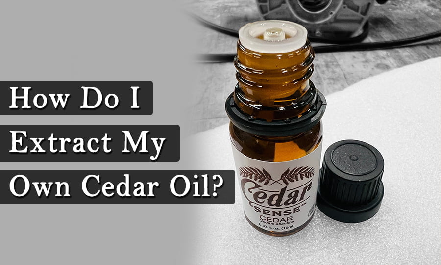 cedar oil