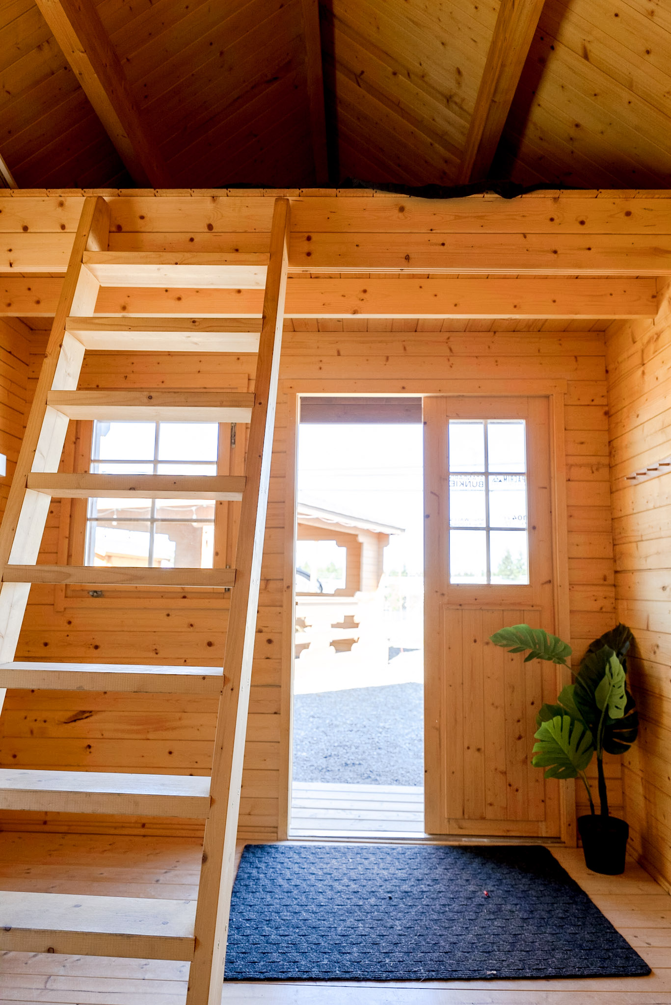 Eagle Loft Bunkie interior with ladder to sleeping loft