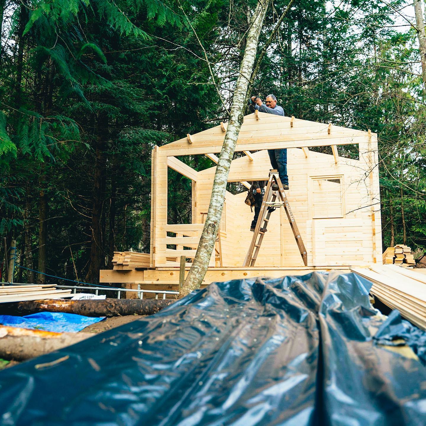 Big Sky Cabin assembly step 8 cabin nearly complete
