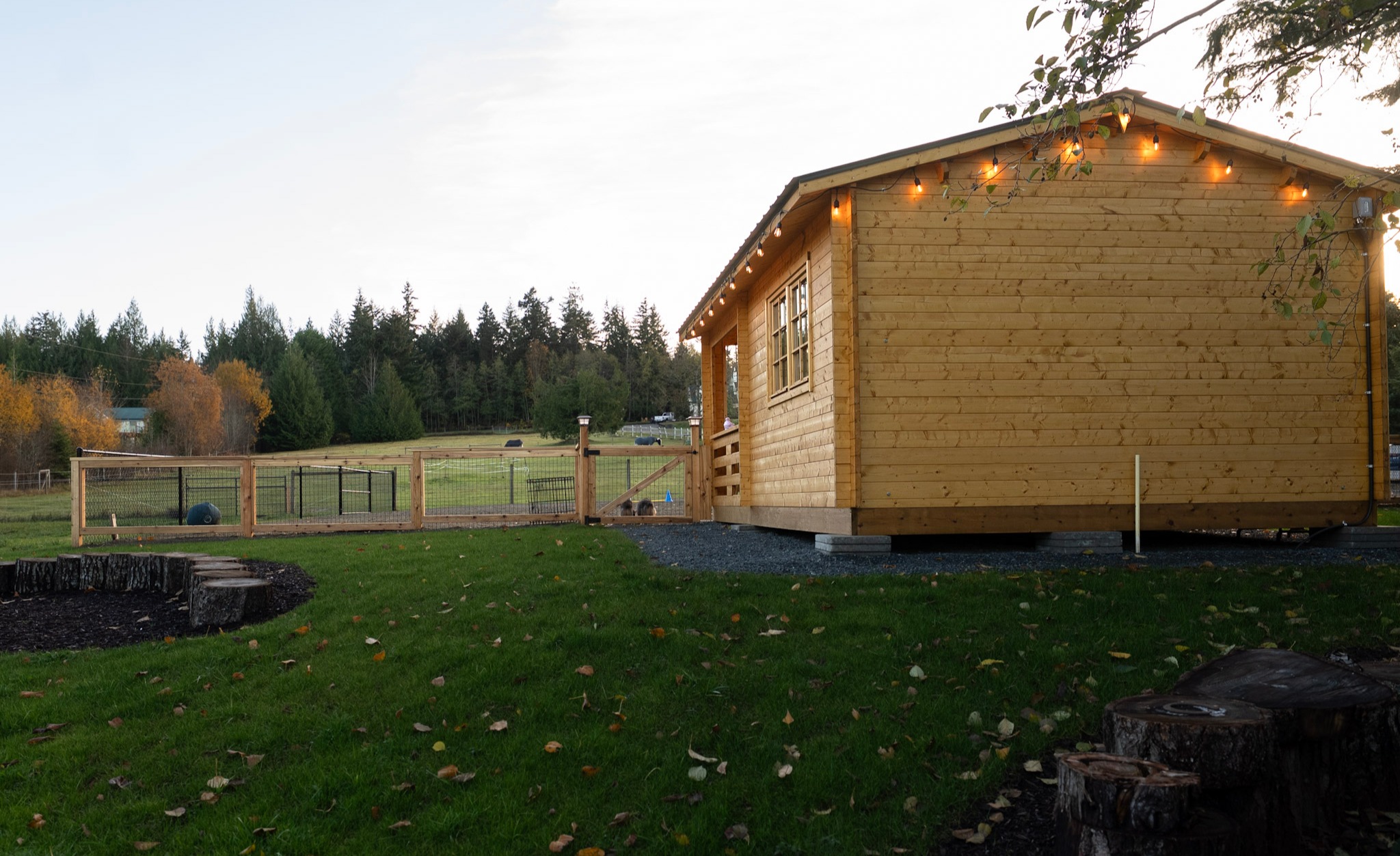 Back view of the Big Sky Cabin tiny cabin