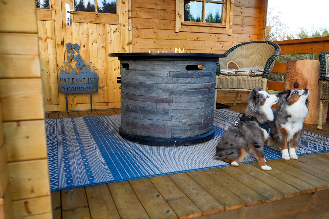 Dogs relaxing on the covered porch of the Big Sky Cabin