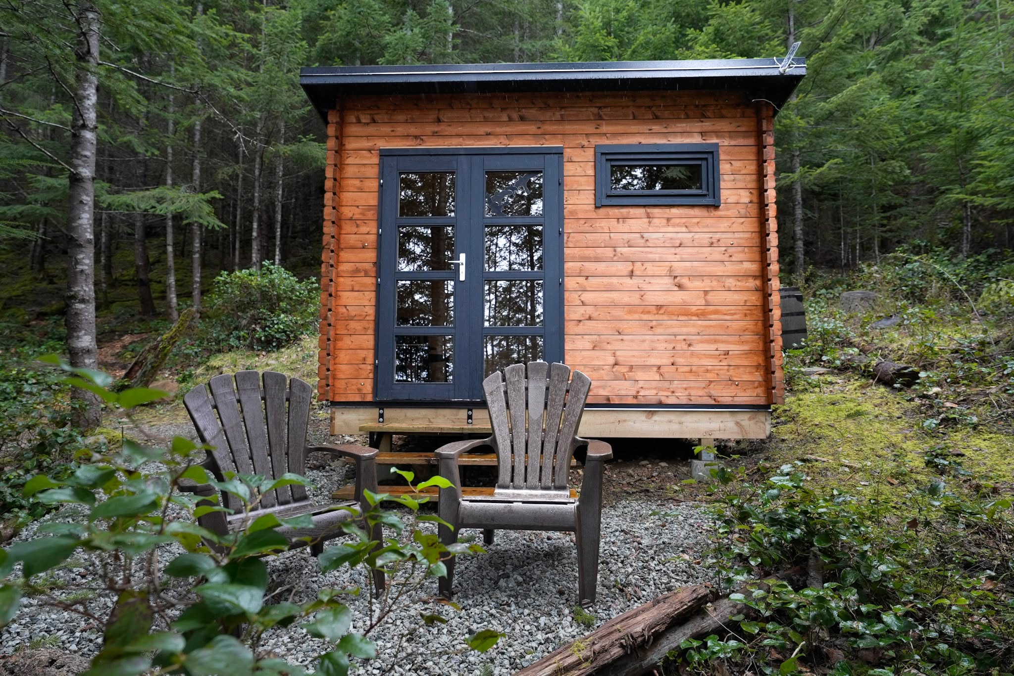 Silver State Studio wood shed with dark stain finish