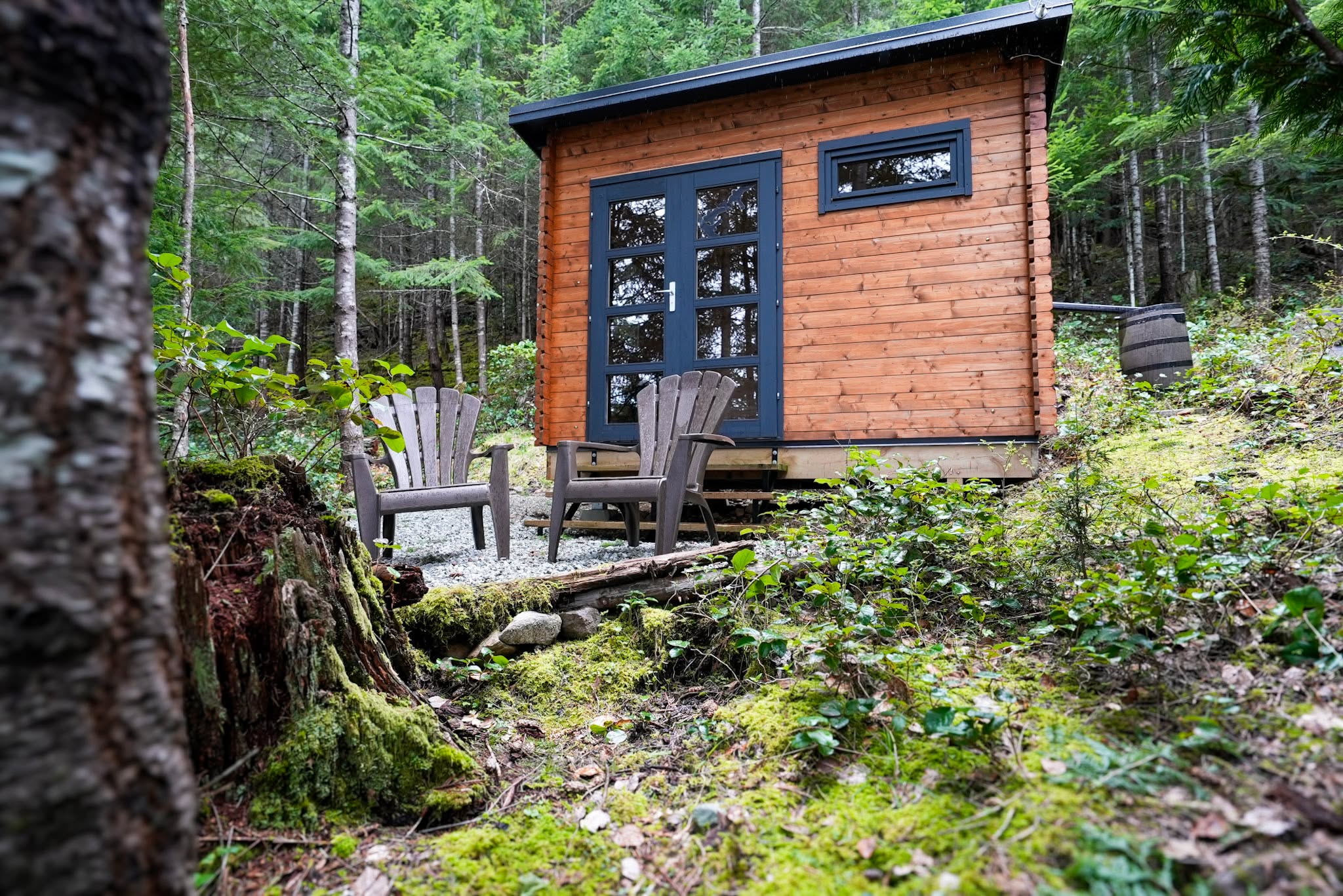 The Silver State Studio modern wood shed for office studio or backyard retreat use