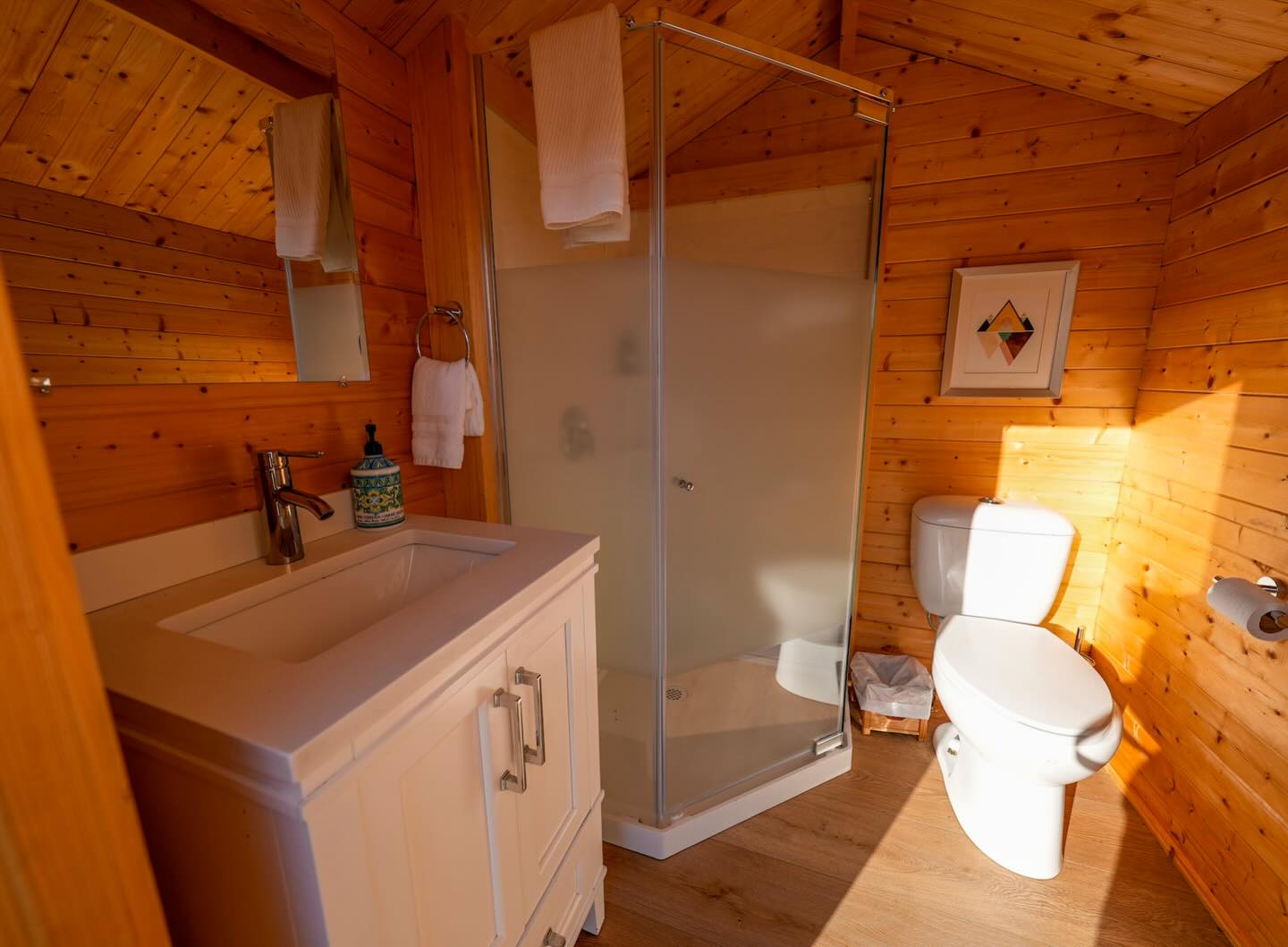 Interior view of small shed converted for outdoor bathroom use