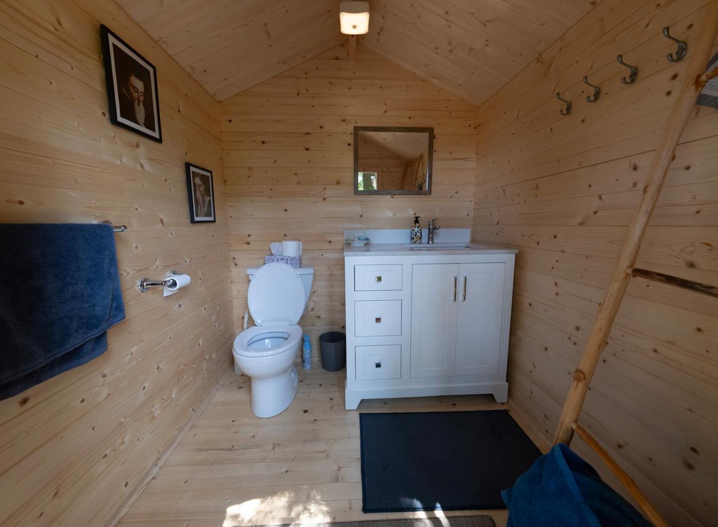 Small shed bathroom interior with compact layout for backyard or cabin property