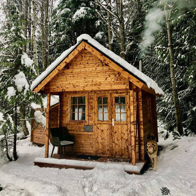 The Eagle Loft Bunkie bunkie cabin kit with loft for guest space or cabin overflow