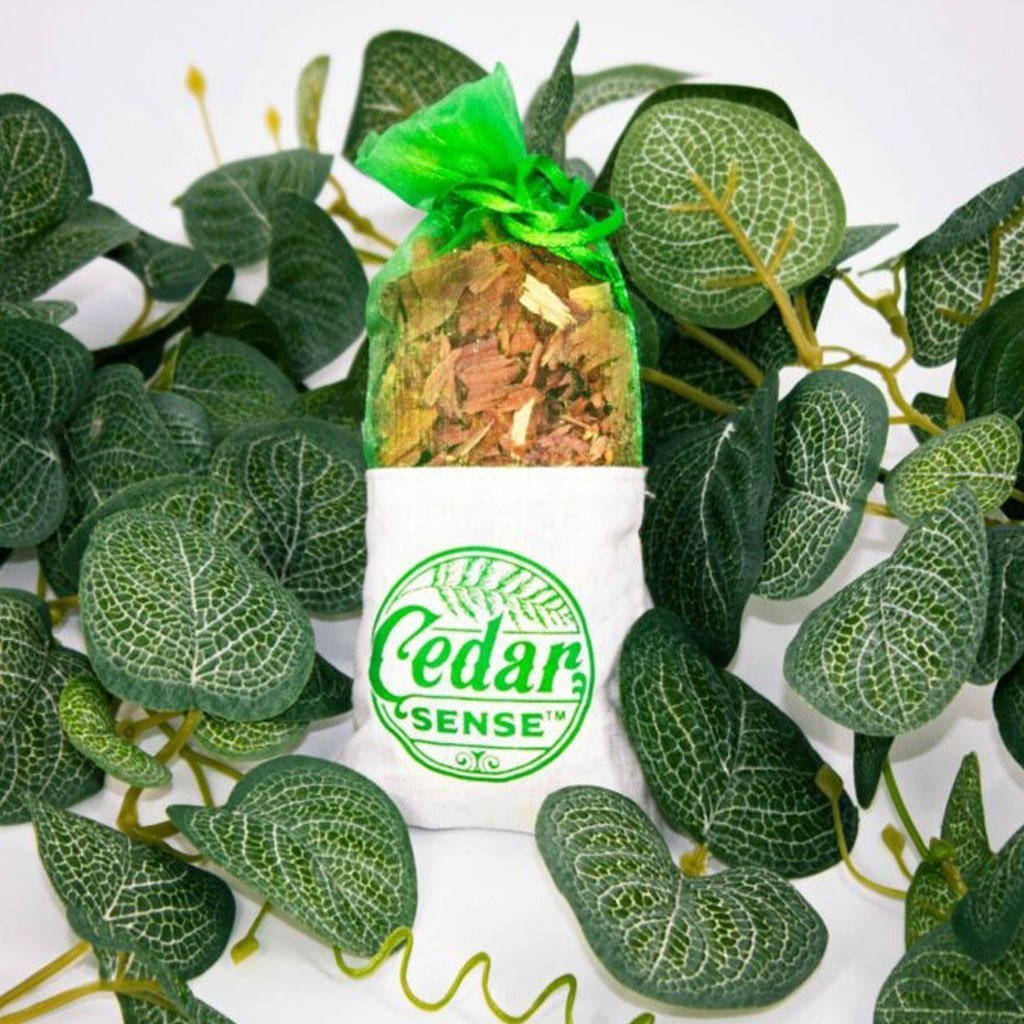 5 Cedarwood (Moth Repellent) Botanical Sachets – Pure Palette Scents