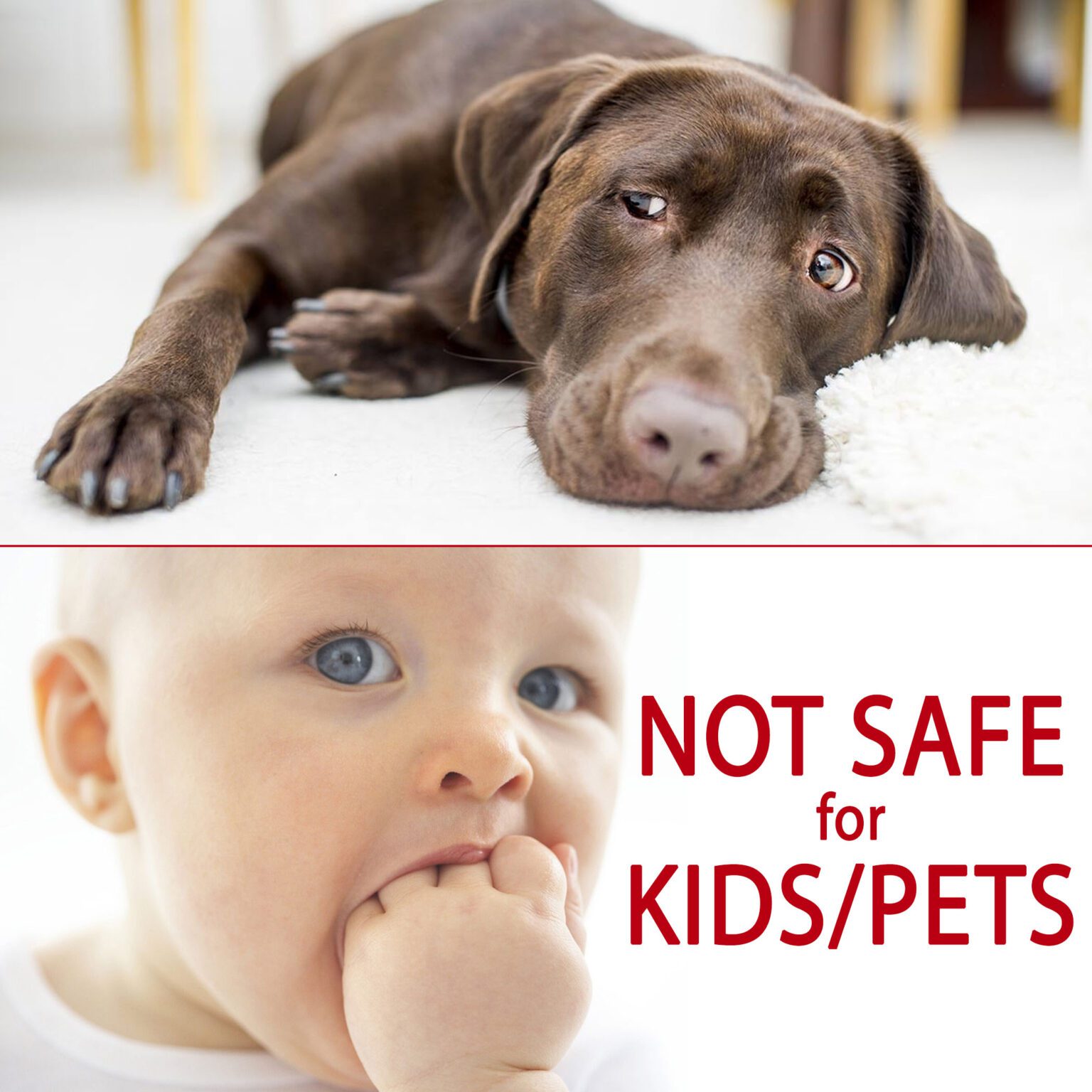 Ditch the Moth Balls 5 Reasons to Scrap Moth Balls CedarSense