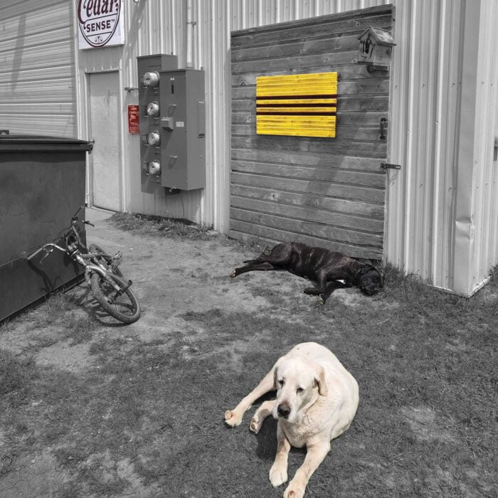 International Wood Flags - Image 5