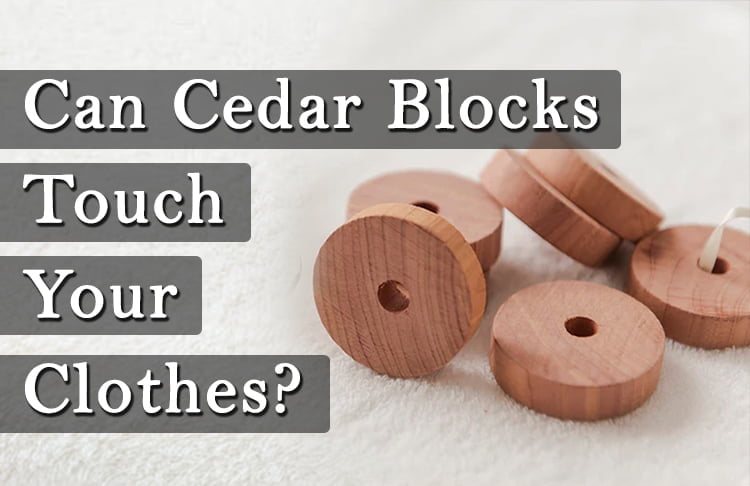 How Often Should You Replace Cedar in Closet: Expert Tips