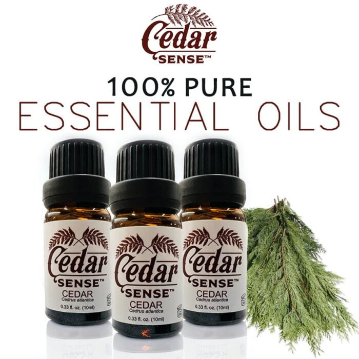 Cedar Wood Essential Oil - Image 5