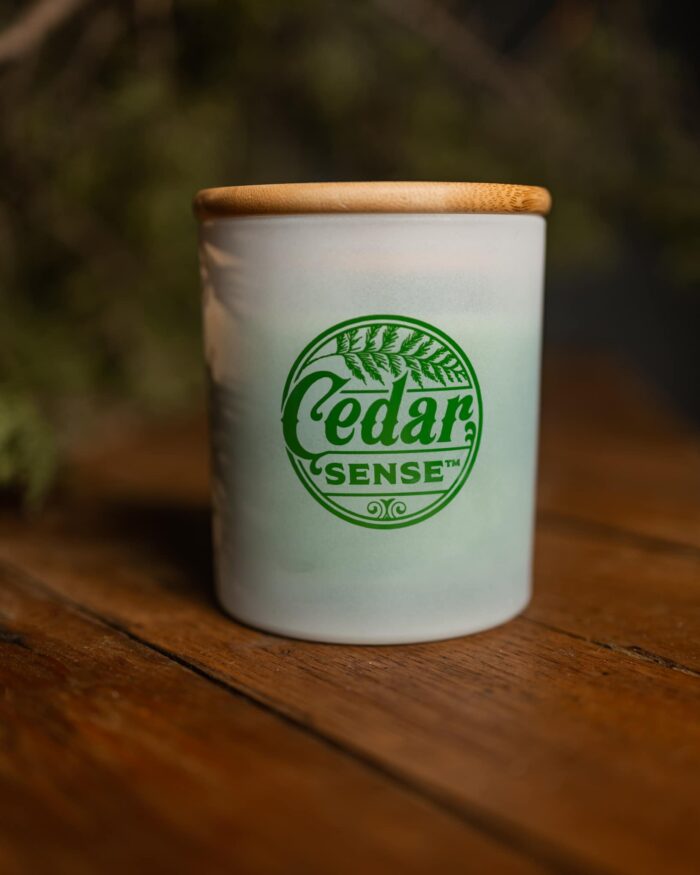 Fraser Fir Cedar Wood Candles | Eastern Red Aromatic Cedar Oil Candles - Image 5
