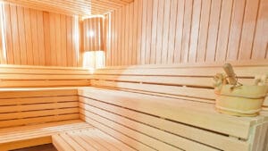 best indoor sauna