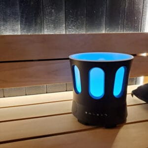 sauna proof speaker