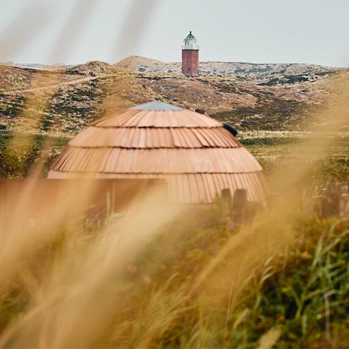 Electric outdoor sauna with round design in a natural setting