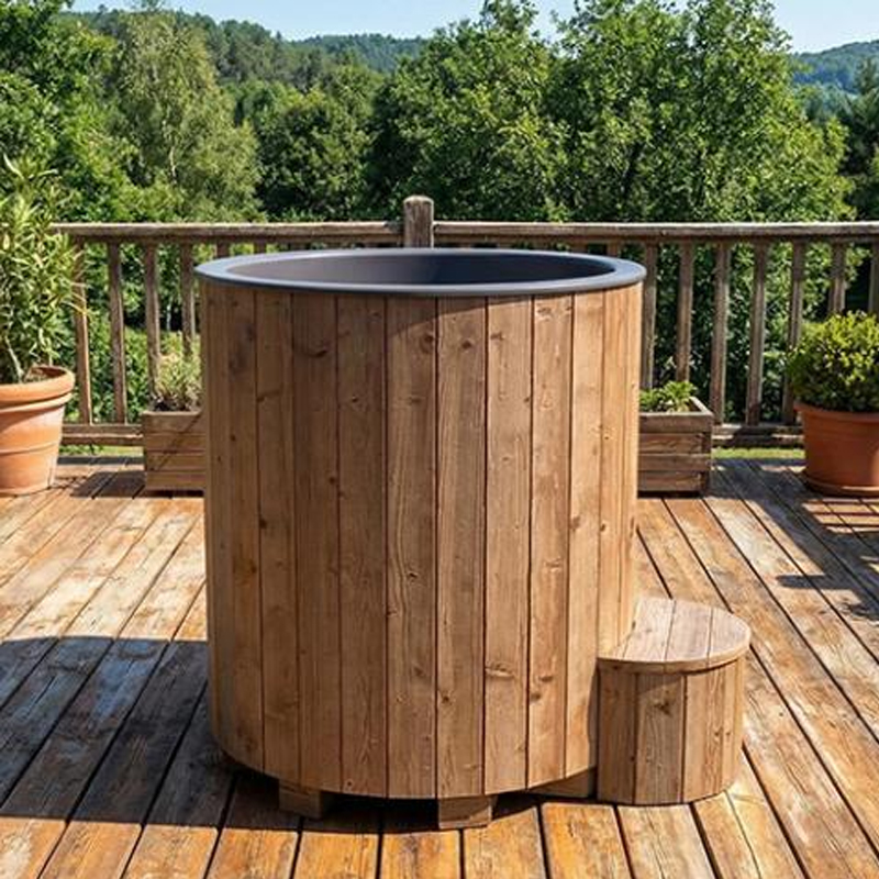 SaunaLife Model S1NC Cold Plunge with Chiller