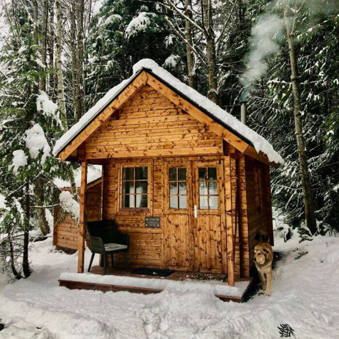 Eagle Loft Bunkie interior with upper sleeping loft