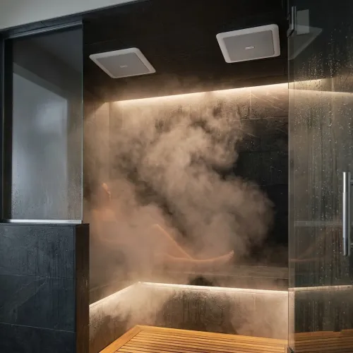 Mr.Steam AUDIOX built-in Bluetooth speaker system